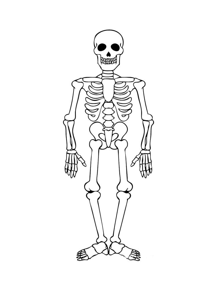Coloriage squelette 1