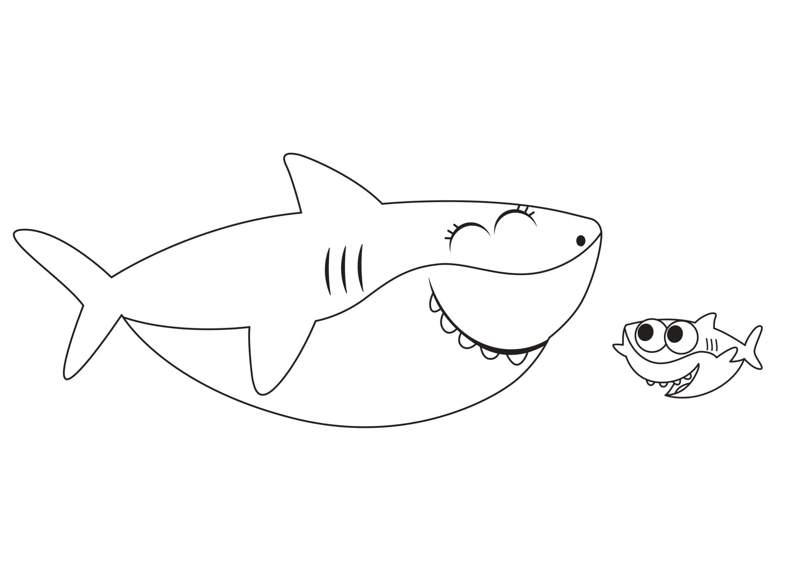 Coloriage baby shark 17