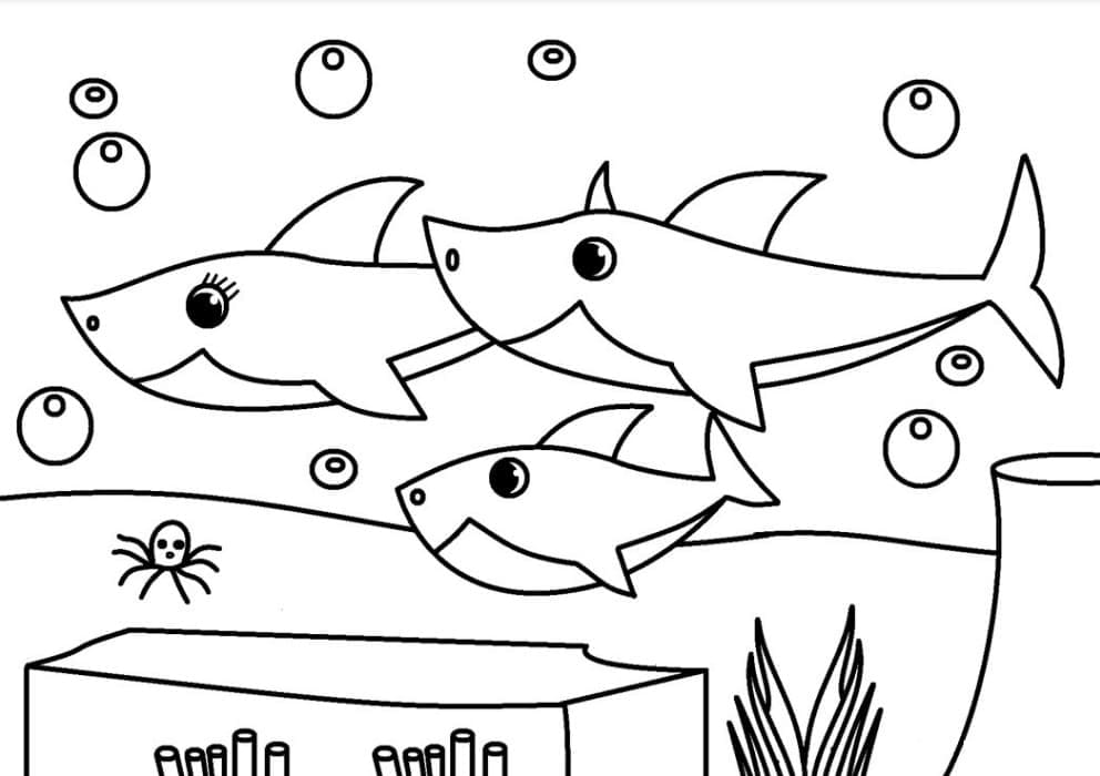 Coloriage baby shark 3