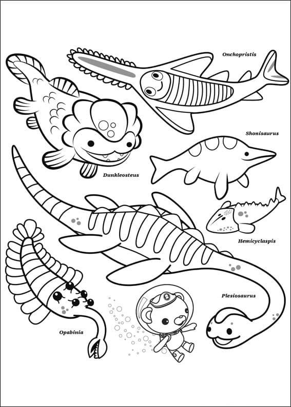 Coloriage desenho octonautas 7 para colorir