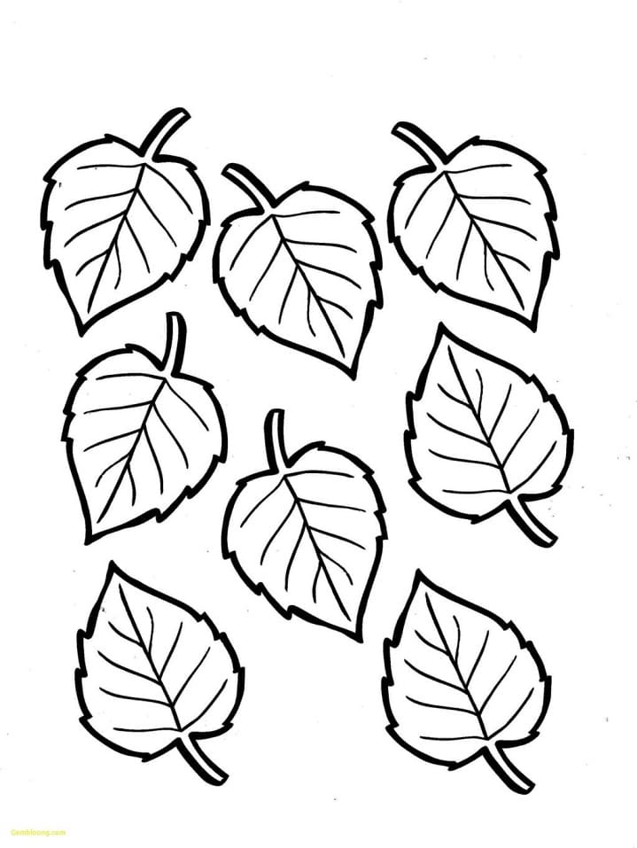 Coloriage feuilles automne 10 à imprimer