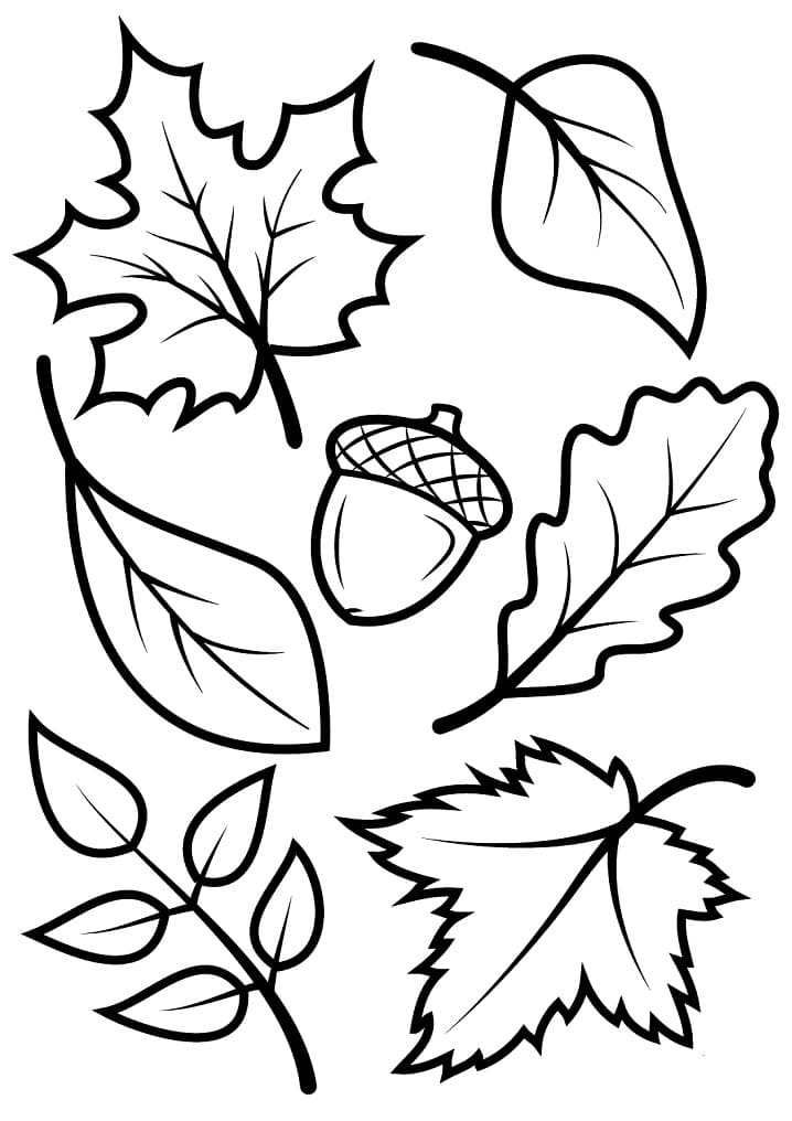 Coloriage feuilles automne 13 à imprimer