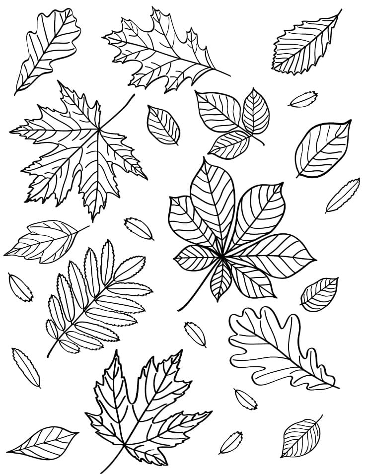 Coloriage feuilles automne 15 à imprimer