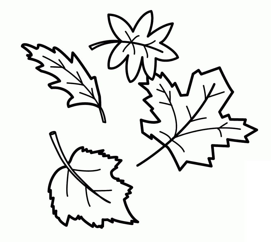 Coloriage feuilles automne 7 - Dessin gratuit à imprimer