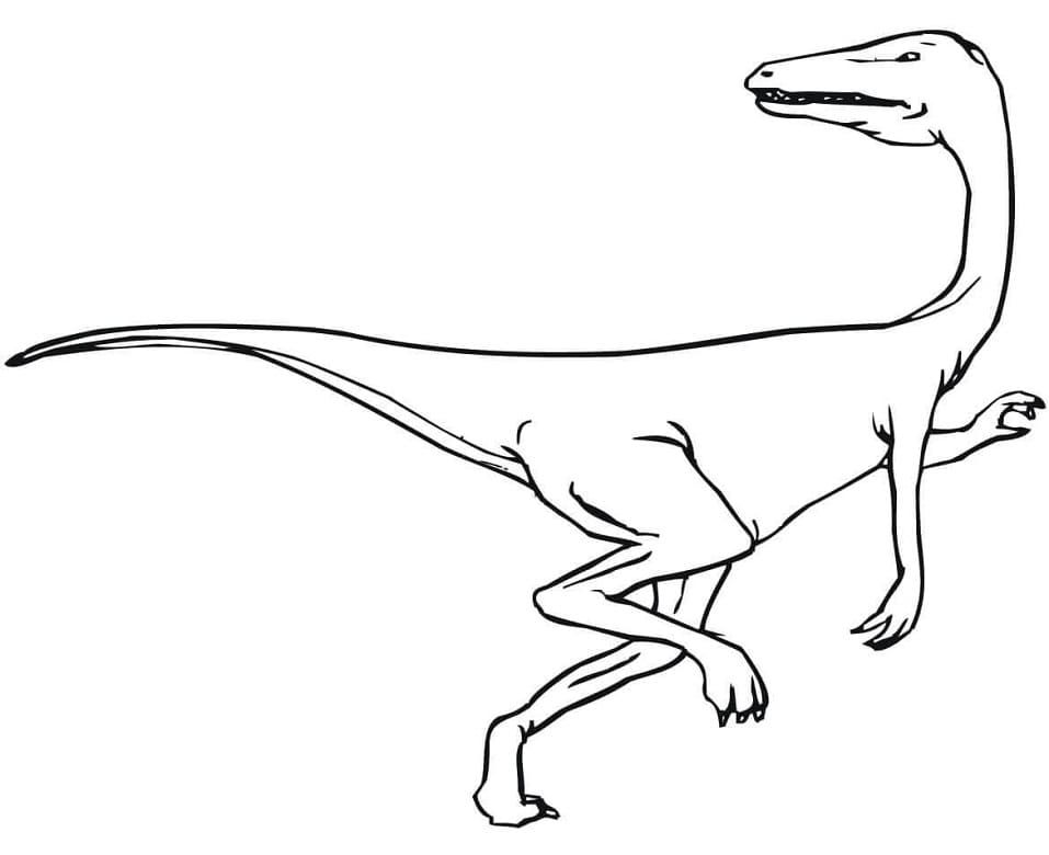 Coloriage dinosaure vélociraptor 3