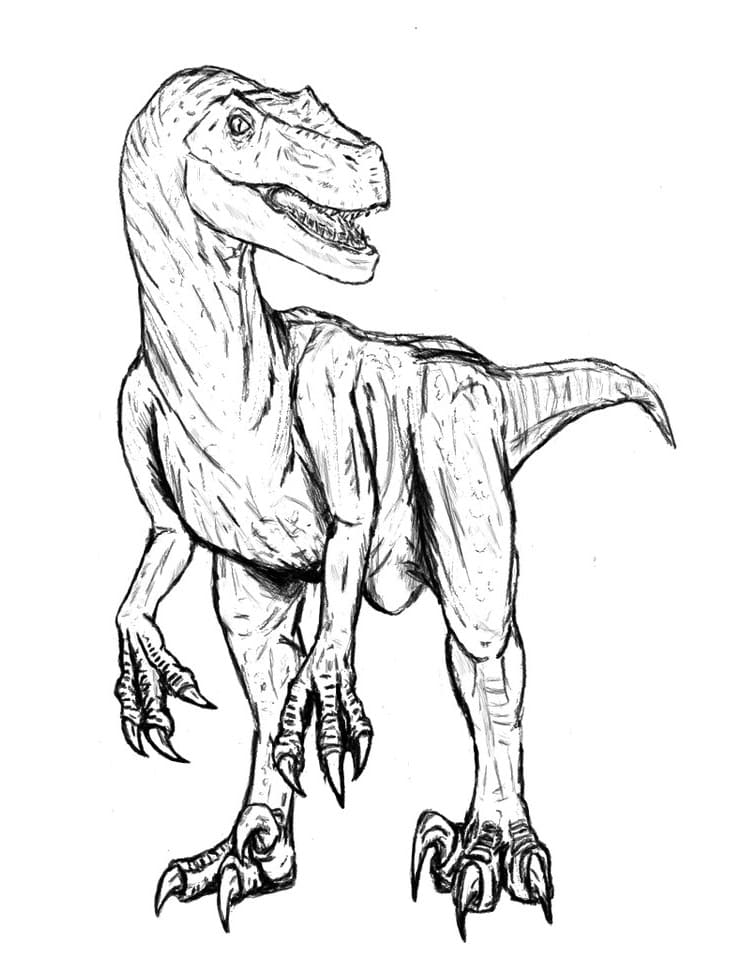 Coloriage dinosaure vélociraptor à imprimer