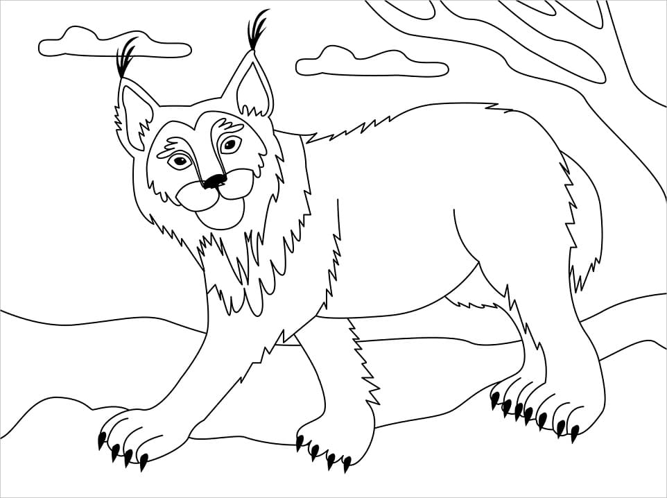 Coloriage lynx 5 à imprimer