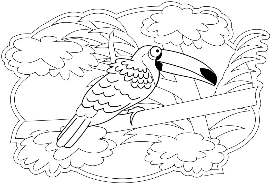 Coloriage toucan 1