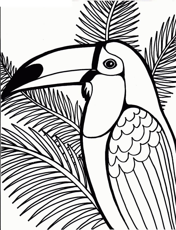 Coloriage toucan 6