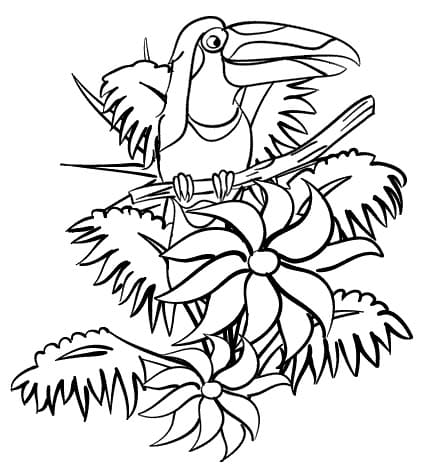 Coloriage toucan dans la jungle