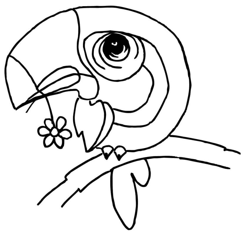 Coloriage toucan mignon