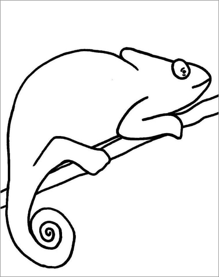 Coloriage caméléon facile