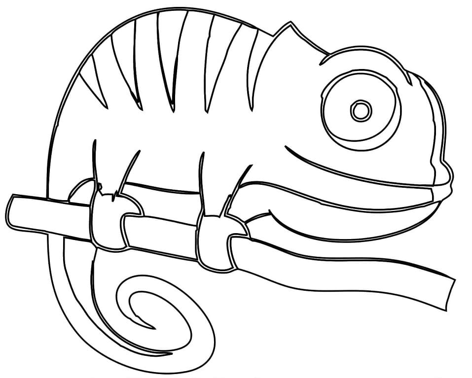 Coloriage caméléon heureux