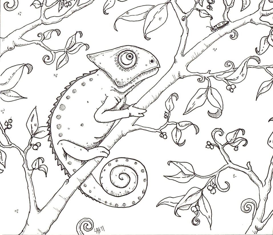 Coloriage caméléon sur un arbre