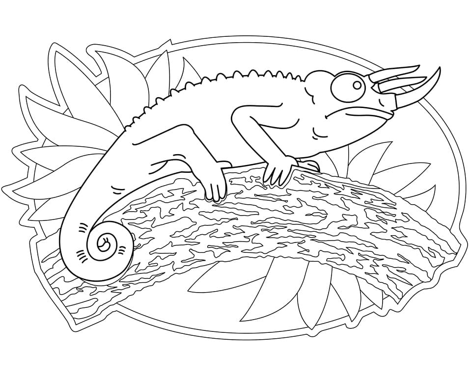 Coloriage caméléon triocéros