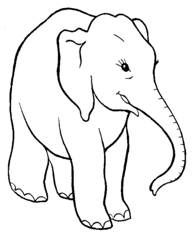 Coloriage éléphant 4 à imprimer