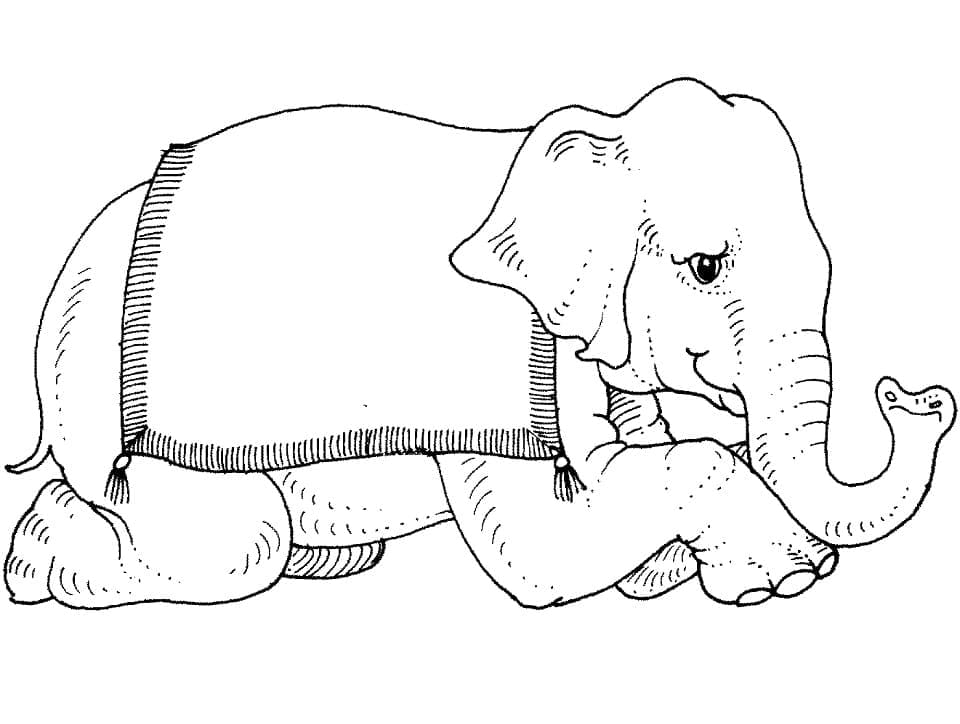 Coloriage eléphant de cirque à imprimer