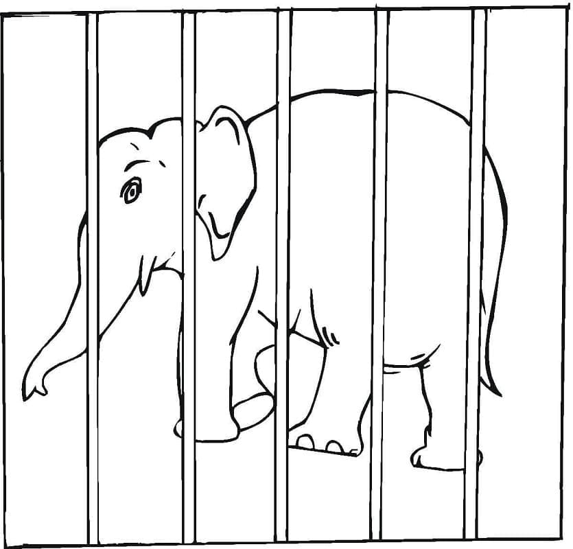 Coloriage éléphant en cage à imprimer