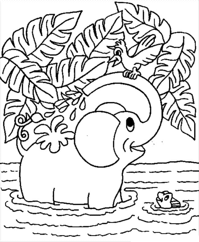 Coloriage éléphant et oiseau à imprimer