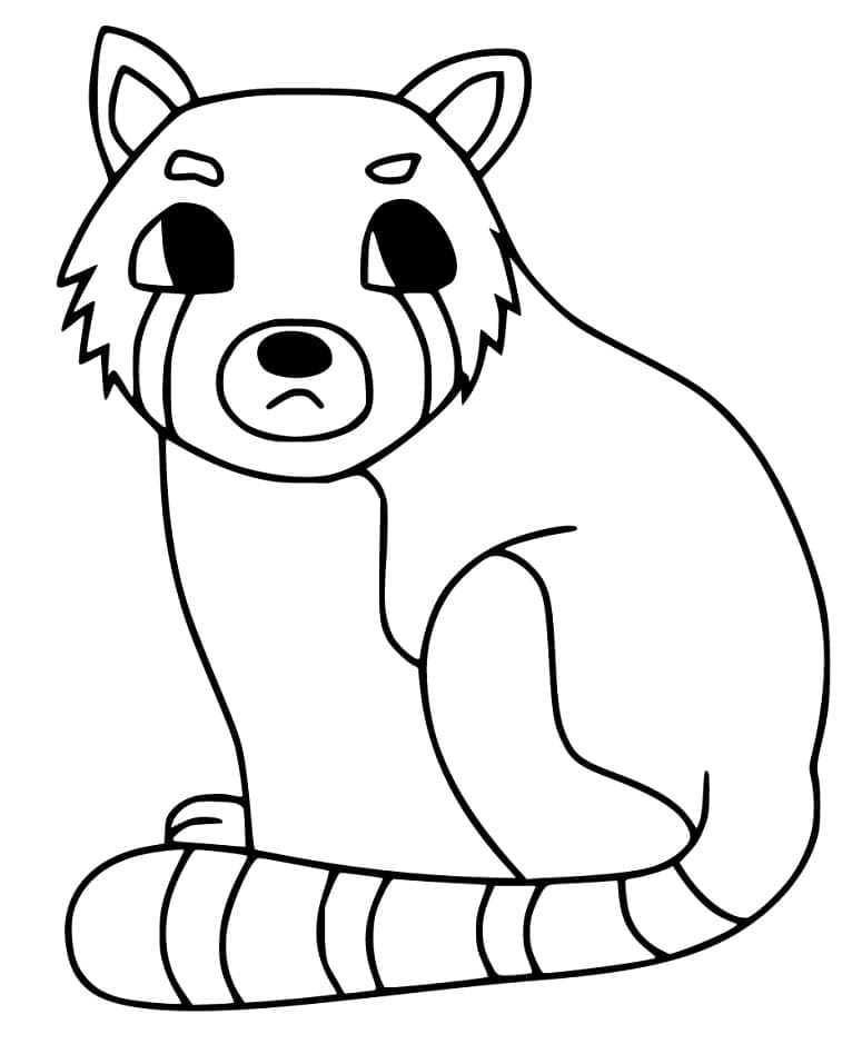 Coloriage Panda roux 4 à imprimer