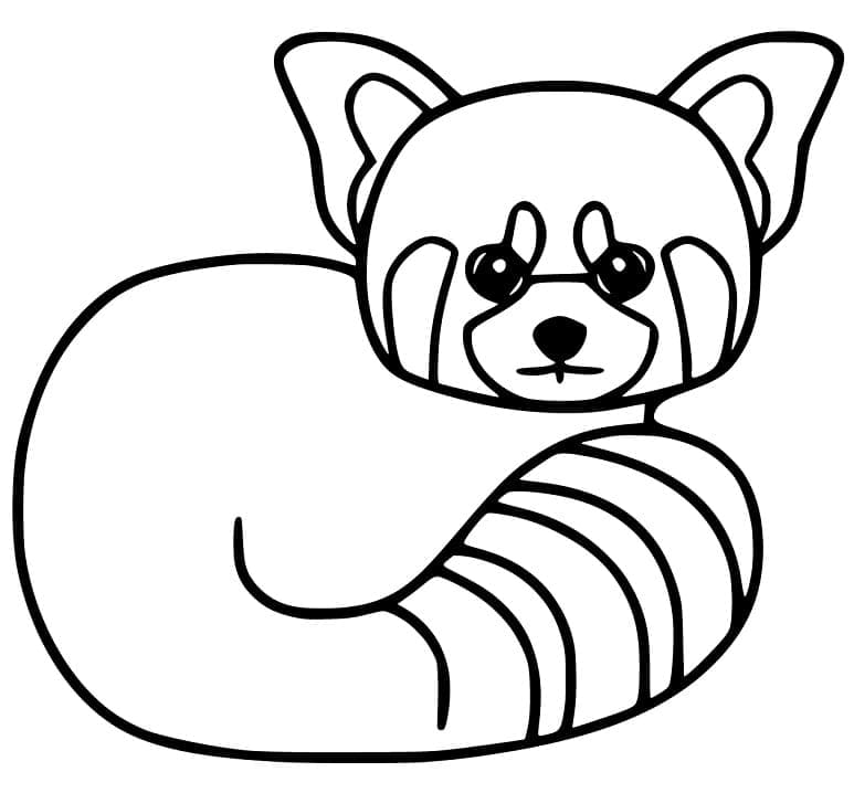 Coloriage Panda roux 5