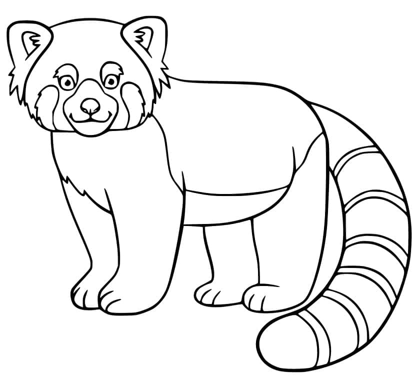 Coloriage Panda roux Souriant