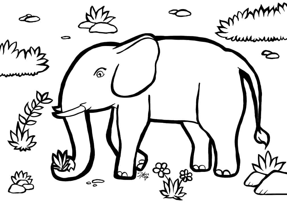 Coloriage petit éléphant à imprimer
