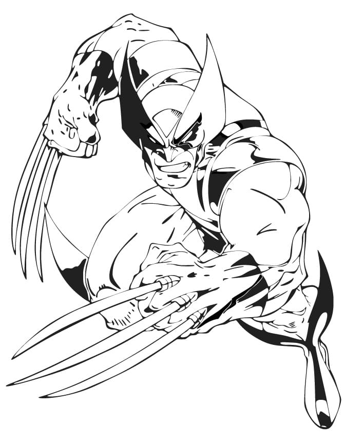 Coloriage wolverine attaque