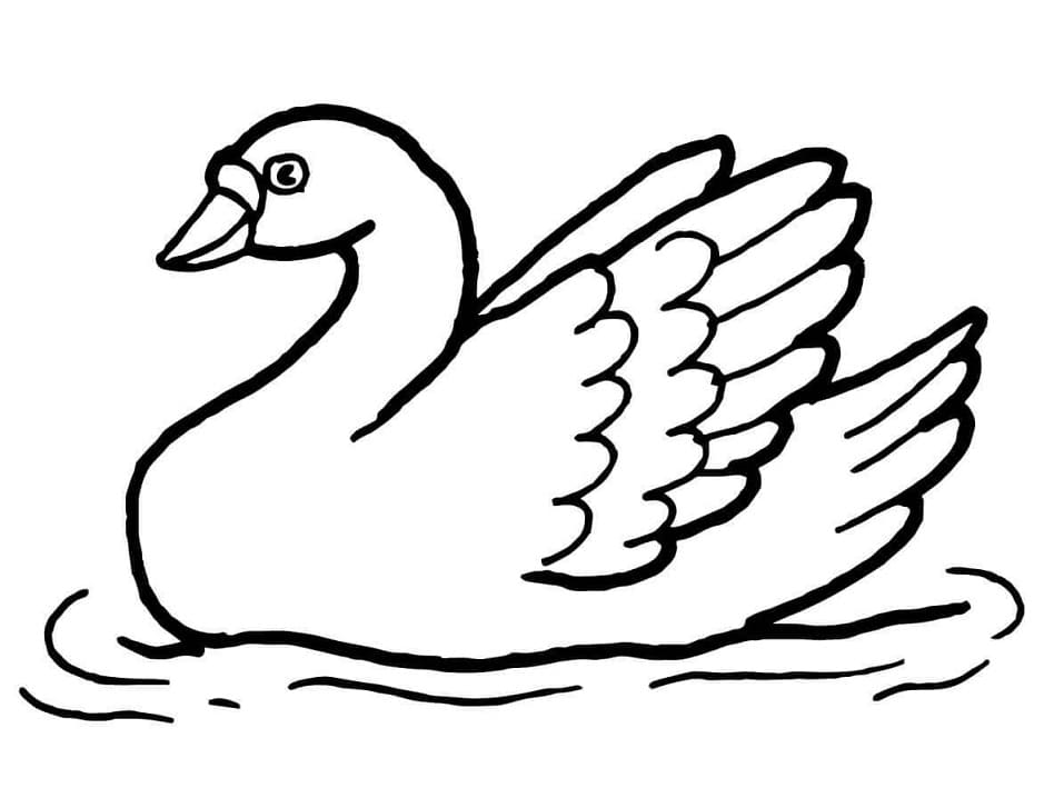 Coloriage adorable cygne à imprimer