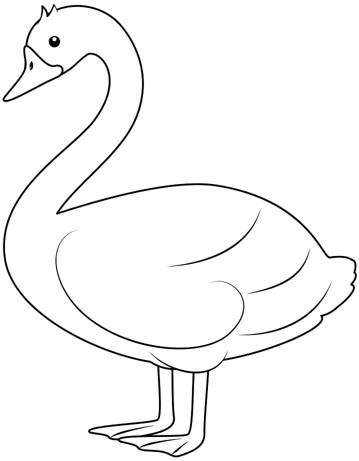 Coloriage cygne mignon à imprimer