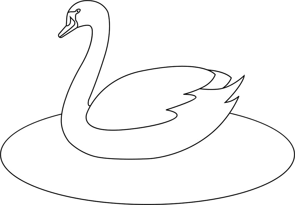 Coloriage cygne simple à imprimer