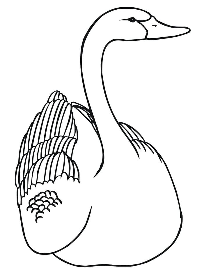 Coloriage un cygne à imprimer