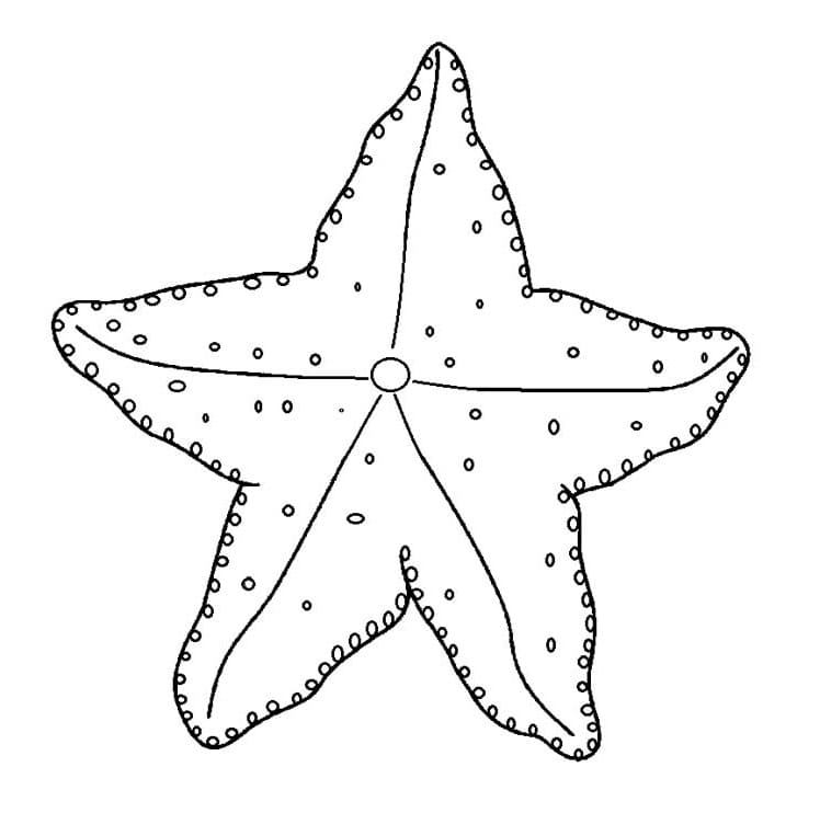 Coloriage Étoile de Mer 12 à imprimer