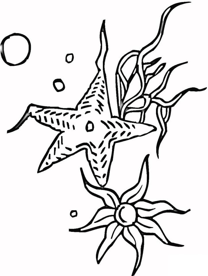 Coloriage Étoile de Mer 15 à imprimer