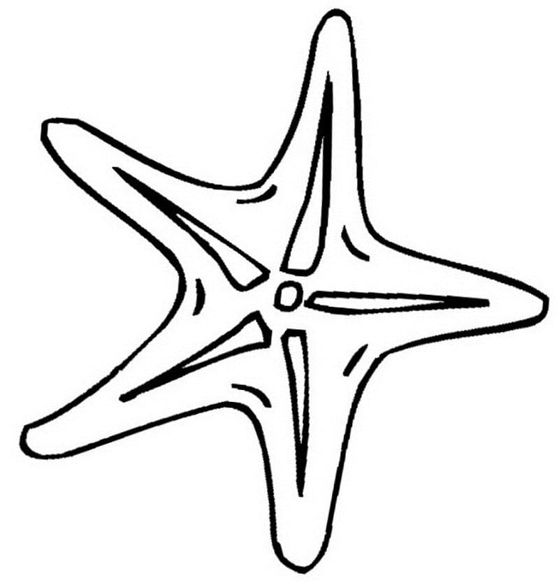 Coloriage Étoile de Mer 22 à imprimer
