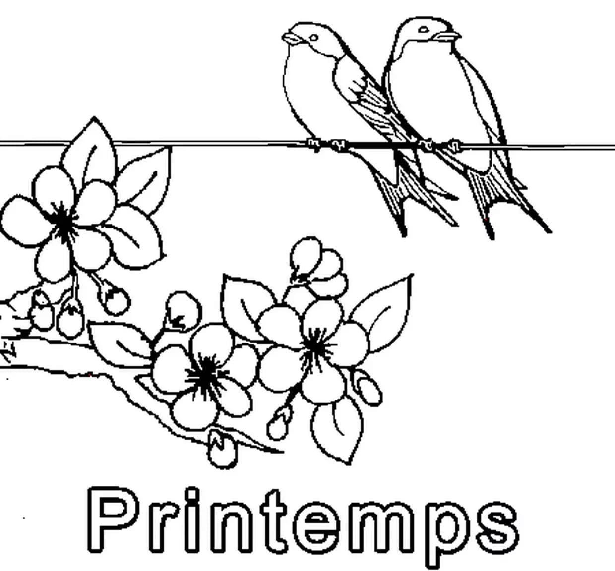 Coloriage Printemps à imprimer