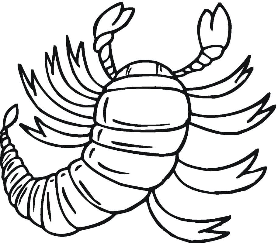 Coloriage Scorpion 13