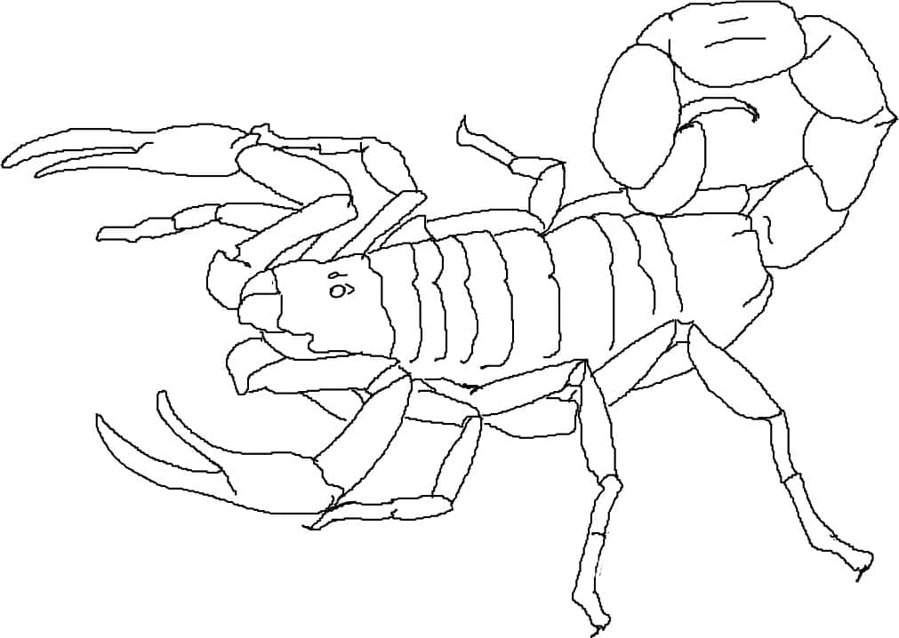 Coloriage Scorpion 4 à imprimer