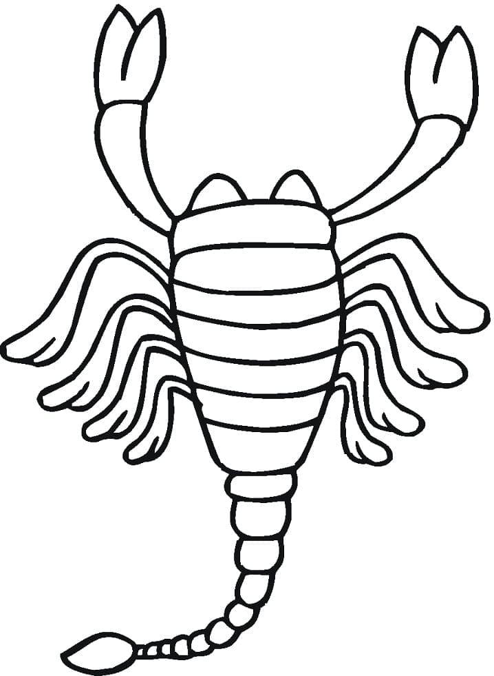 Coloriage Scorpion Facile