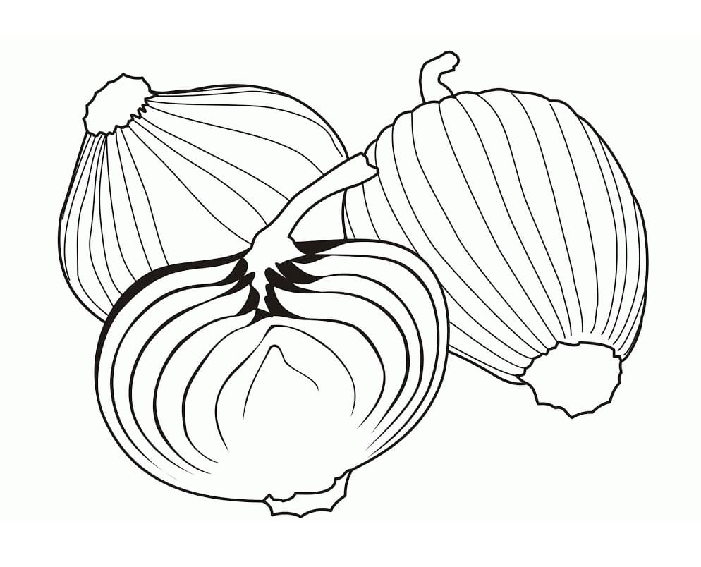 Coloriage oignons (3)