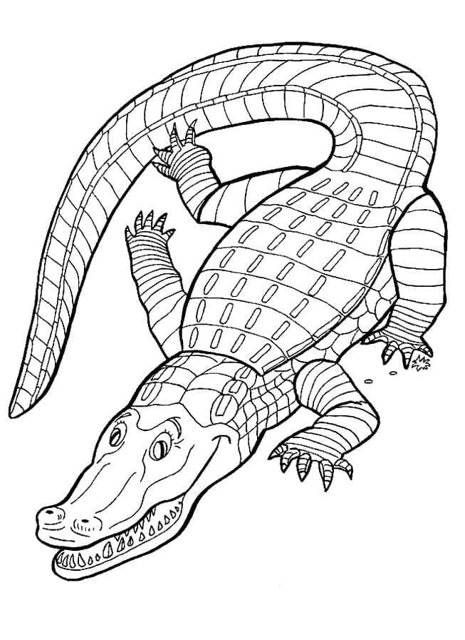 Coloriage Alligator 6 à imprimer