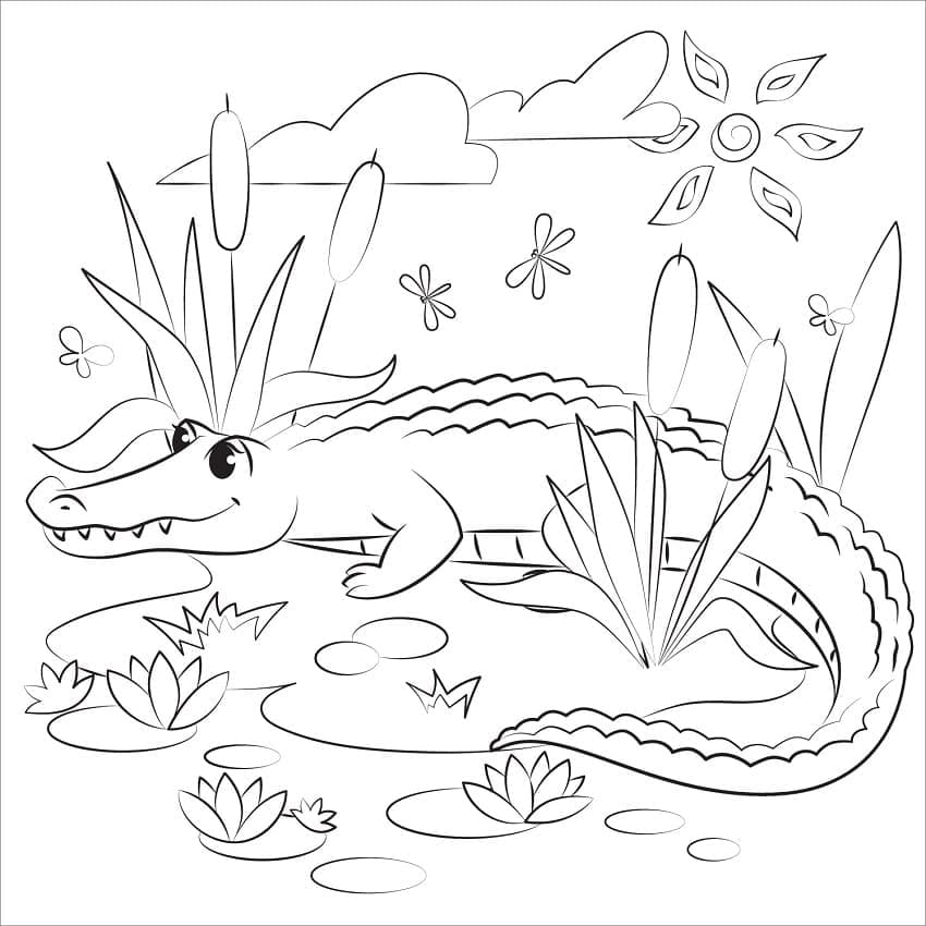 Coloriage Alligator Charmant à imprimer
