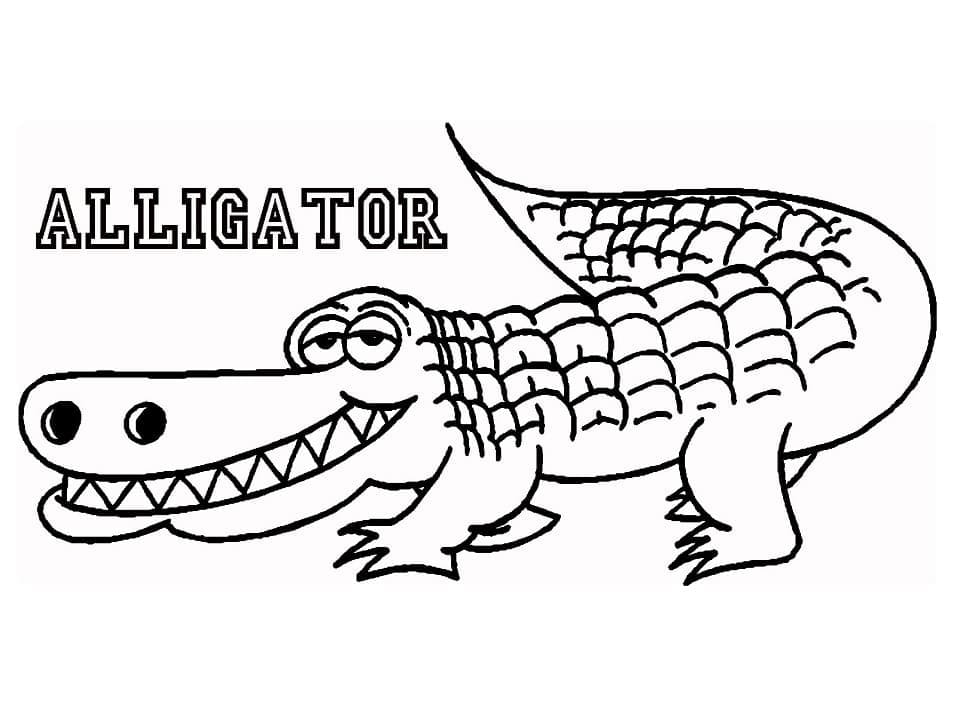 Coloriage Alligator Drôle à imprimer