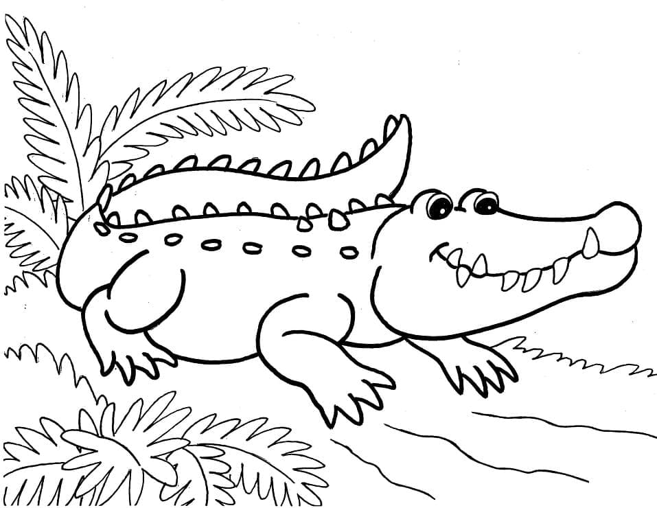 Coloriage Alligator Souriant