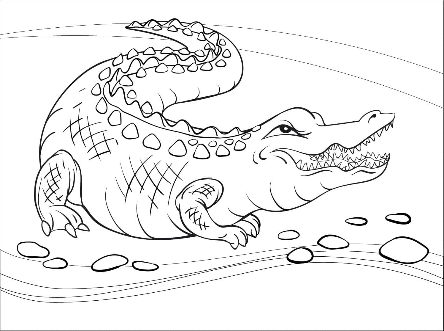 Coloriage Alligator en Colère à imprimer