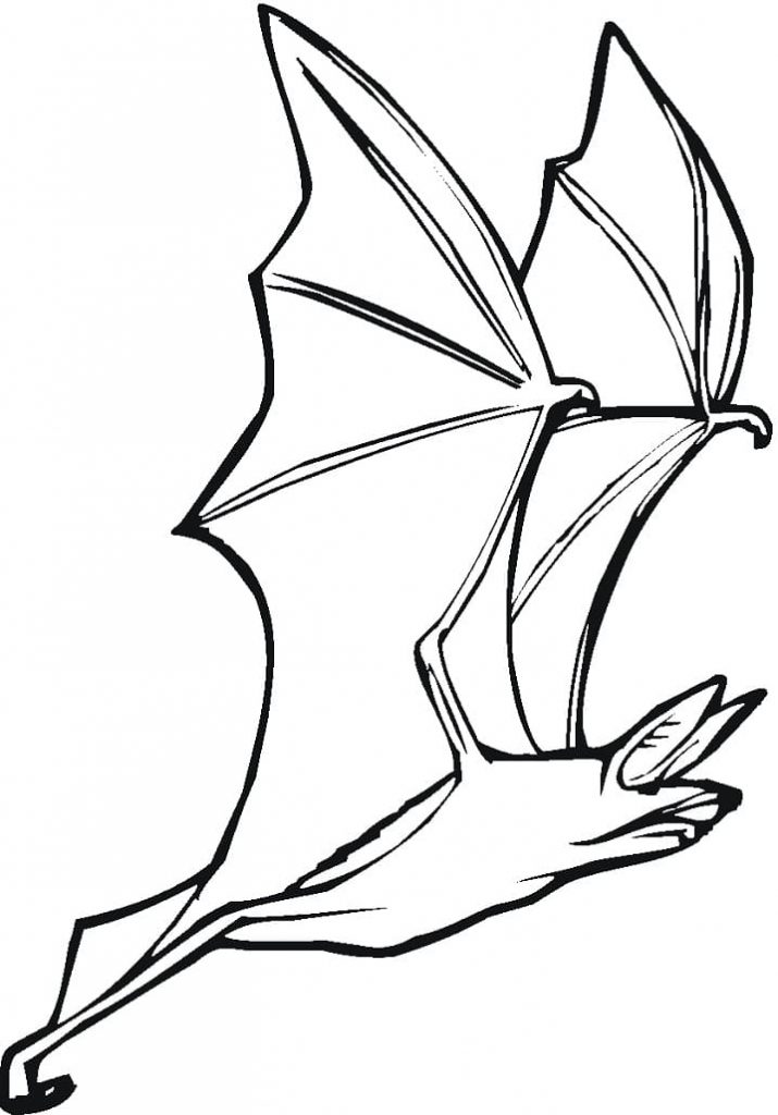 Coloriage Chauve-Souris 1 à imprimer