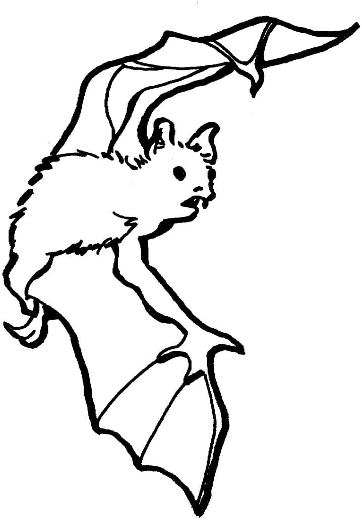 Coloriage Chauve-Souris 4