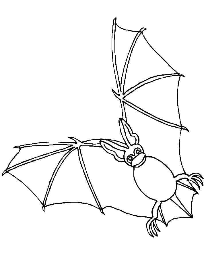 Coloriage Chauve-Souris Drôle