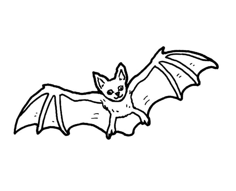 Coloriage Chauve-Souris Mignonne