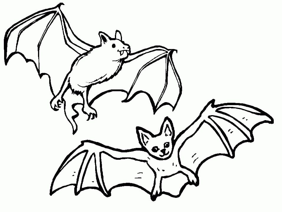 Coloriage Deux Chauves-Souris